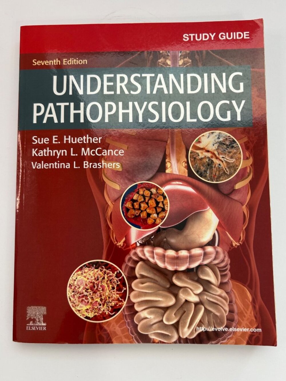 Study Guide Understanding Pathophysiology 7th Edition Huether McCance Brashers